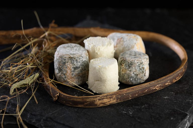 FORMAGGIO BRANZI delle OROBIE